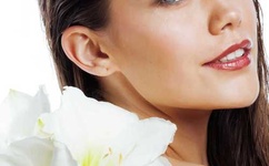 伊人电院网在线